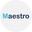 Maestro Payment Icon