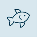 Mailreef Reviews