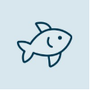 Mailreef Reviews