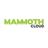 Mammoth Cloud Reviews & Ratings