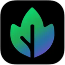 Maple AI Reviews