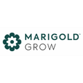 Marigold Grow