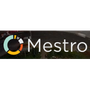 Mestro Icon