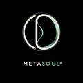 MetaSoul