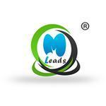 Mleads (Млидс) - Программное Обеспечение Для Управления Лидами