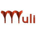 Muli Construction Accounting