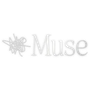 Muse