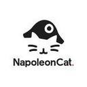 NapoleonCat Reviews