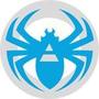 Netpeak Spider Reviews