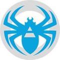 Netpeak Spider