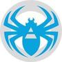 Netpeak Spider