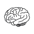 NeuroICH