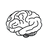 NeuroICH Reviews