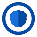 NewsData.io