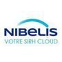 Logo Project Nibelis
