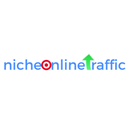 Niche Online Traffic Reviews
