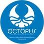 Octopus24 Reviews