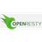 OpenResty