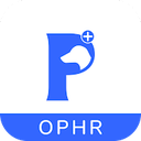 Petofy OPHR Reviews