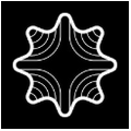 Optibot
