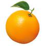 Orange Mailer Reviews & Ratings