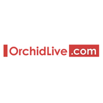 Orchid Live Reviews
