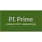 P.i. Prime Reviews