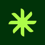 Palm Reviews