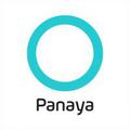 Panaya