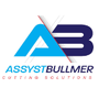 Assyst/Bullmer Pattern Design Software