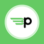 Logo Project Paycepaid