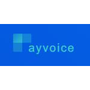 Logo Project Payvoice