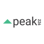 Logo Project Peak DSP