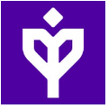 Peerlytics