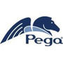 Logo Project Pega Marketing