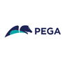 Pega Recall Reviews