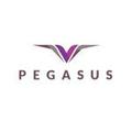 Pegasus Legal Register