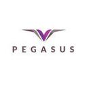 Pegasus Legal Register Reviews