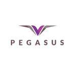 Pegasus Legal Register Reviews