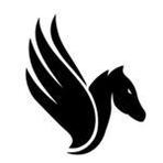 Pegasys Reviews