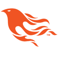 Phoenix Framework