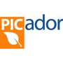 Picador Icon