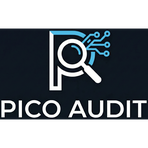 Pico Audit Reviews