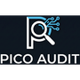 Pico Audit Icon