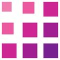 PicTools.AI