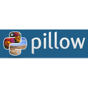 Pillow Reviews