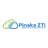 Pinaka ZTi Reviews