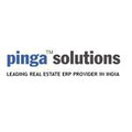 Pinga One