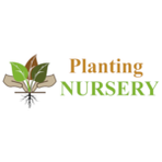 Planting Nursery Reviews