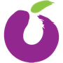 Plum POS Icon